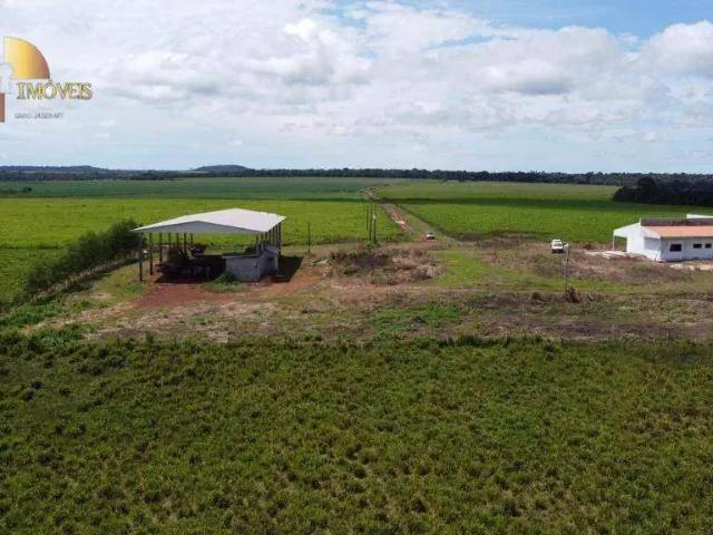 Fazenda venda em Região Geográfica Imediata de Cuiabá, Região Metropolitana do Vale do Rio Cuiabá