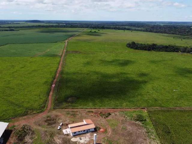 Fazenda venda em Região Geográfica Imediata de Juara, Porto dos Gaúchos