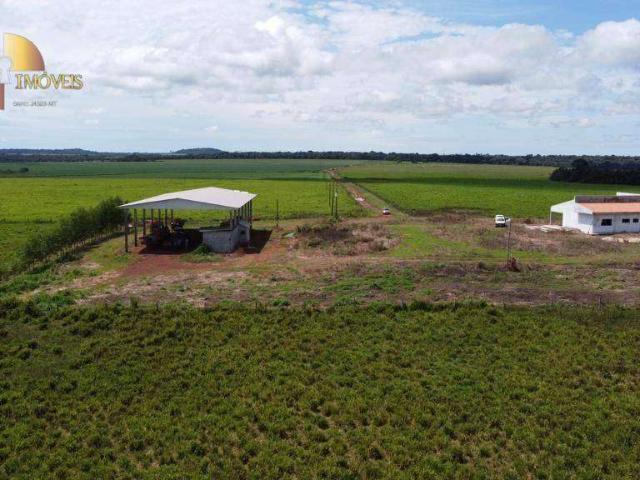 Fazenda venda em Comunidade Novo Paraná, Porto dos Gaúchos