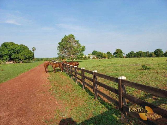 Fazenda venda em Porto Estrela, Região Geográfica Intermediária de Cuiabá
