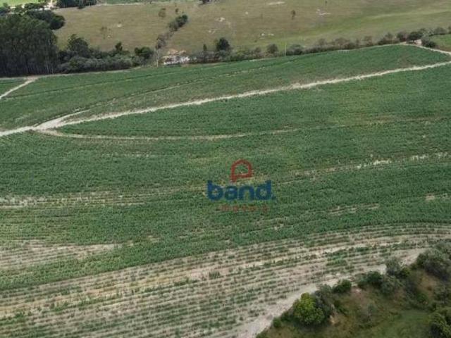 Sítio e chácara venda em Jardim Santa Cruz, Porto Feliz