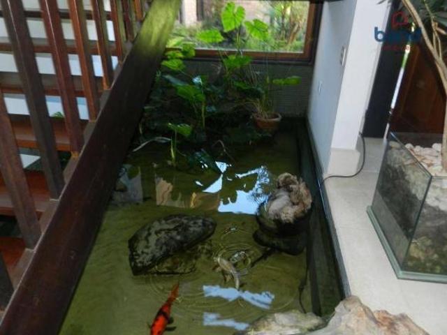 Sítio e chácara venda em Vila Angélica, Porto Feliz