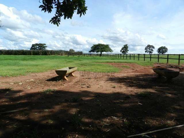Fazenda venda em Porto Feliz