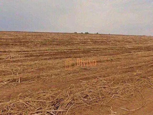 Fazenda venda em Região Imediata de Sorocaba, Região Metropolitana de Sorocaba