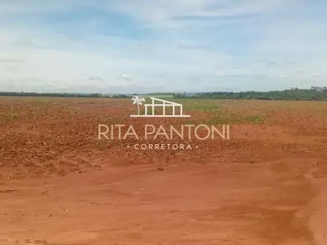 Fazenda venda em Região Imediata de São Carlos, Porto Ferreira