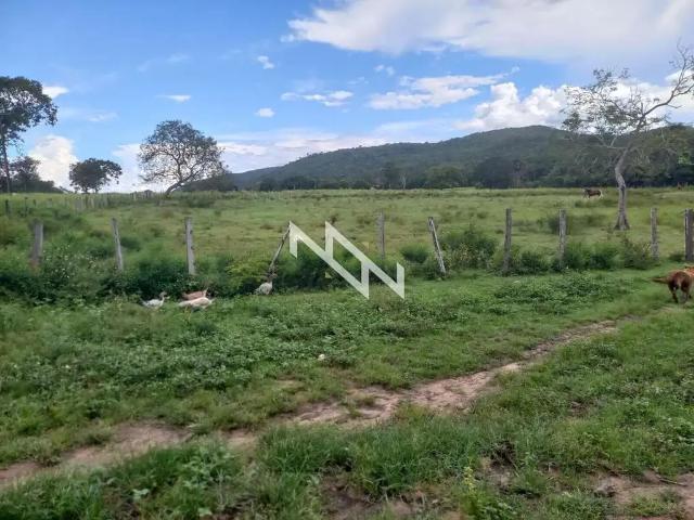 Fazenda venda em Região Geográfica Imediata de Porto Nacional, Porto Nacional