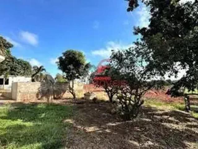 Fazenda venda em Região Geográfica Imediata de Loanda, Porto Rico
