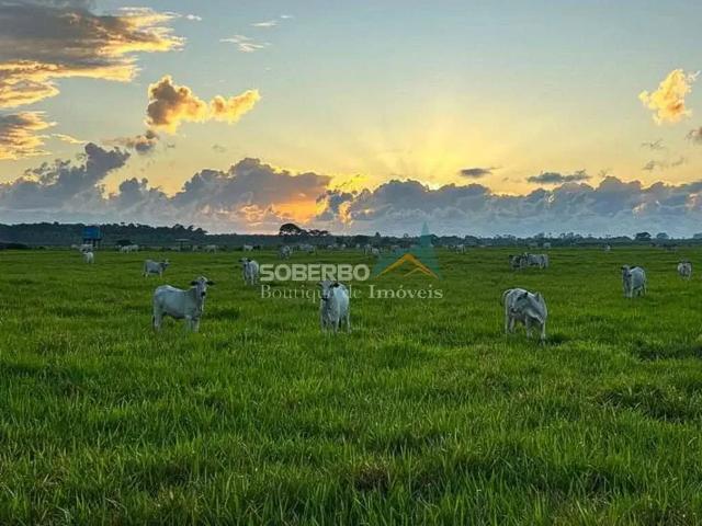 Fazenda venda em Região Geográfica Imediata de Eunápolis - Porto Seguro, Porto Seguro