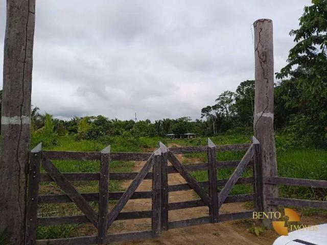 Fazenda venda em Região Geográfica Imediata de Porto Velho, Porto Velho