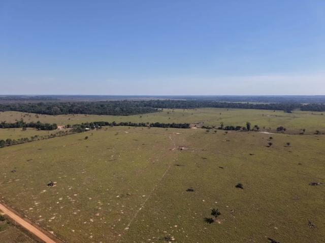 Fazenda venda em Região Geográfica Imediata de Porto Velho, Porto Velho