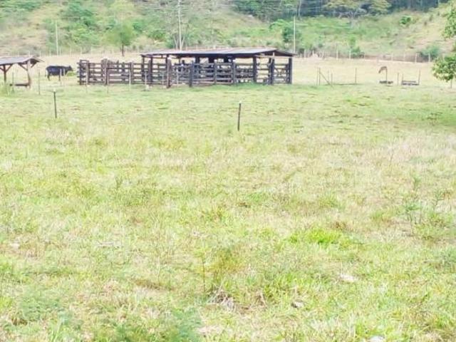 Sítio e chácara venda em Centro, Poté