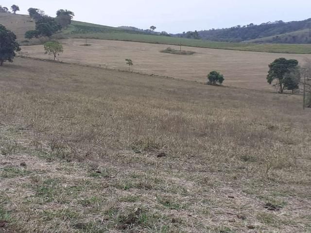 Fazenda venda em Região Geográfica Imediata de Pouso Alegre, Pouso Alegre