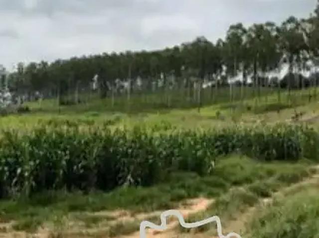 Fazenda venda em Região Geográfica Imediata de Pouso Alegre, Pouso Alegre