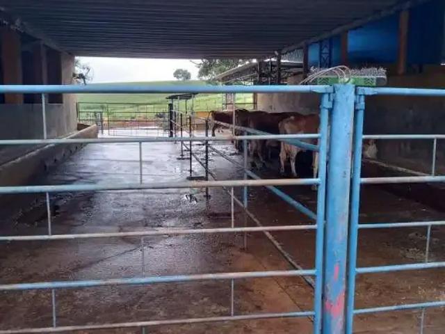 Fazenda venda em Região Geográfica Imediata de Pouso Alegre, Pouso Alegre