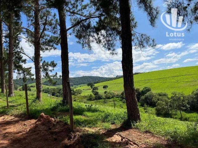 Fazenda venda em Região Geográfica Imediata de Ipatinga, Região Metropolitana do Vale do Aço