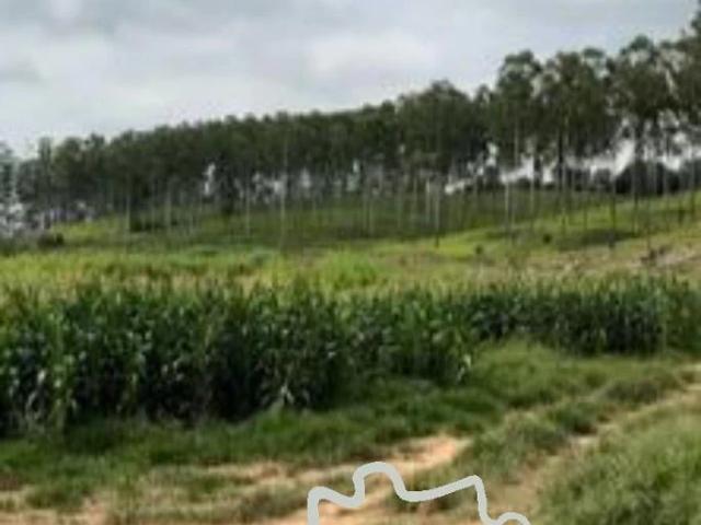 Fazenda venda em Parque Real, Pouso Alegre