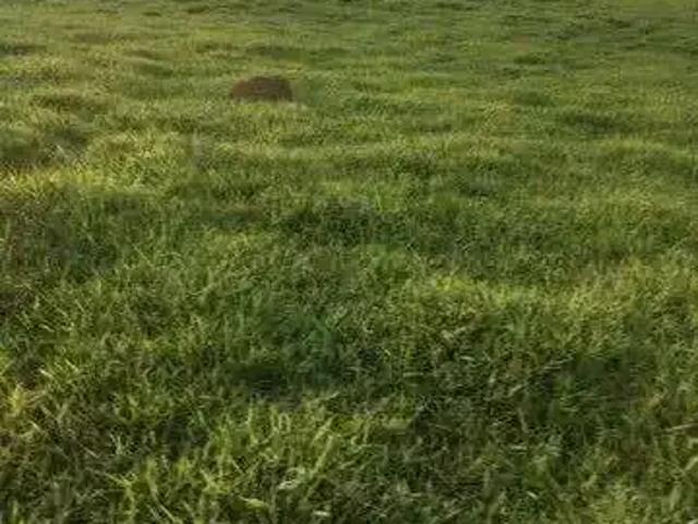 Fazenda venda em Região Geográfica Imediata de Pouso Alegre, Pouso Alegre