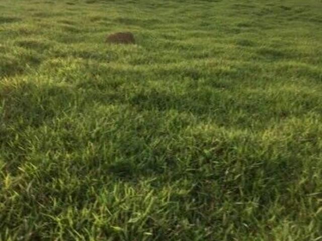 Fazenda venda em Quadrante Noroeste, Pouso Alegre