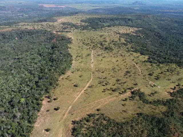 Fazenda venda em Região Geográfica Imediata de Primavera do Leste, Poxoréo