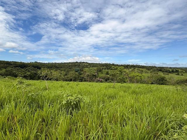 Fazenda venda em Jardim Poxoréo, Poxoréu