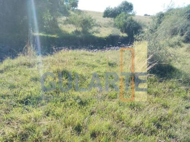 Sítio e chácara venda em Região Geográfica Imediata de Santana do Livramento, Santana do Livramento