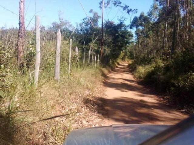 Sítio e chácara venda em Centro, Prados