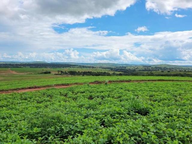 Sítio e chácara venda em Região Geográfica Imediata de Sete Lagoas, Cachoeira da Prata