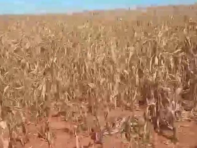Sítio e chácara venda em Região Geográfica Imediata de Sete Lagoas, Cachoeira da Prata