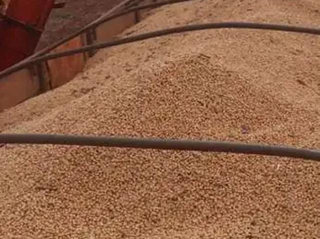 Fazenda venda em Região Geográfica Imediata de Uberlândia, Prata