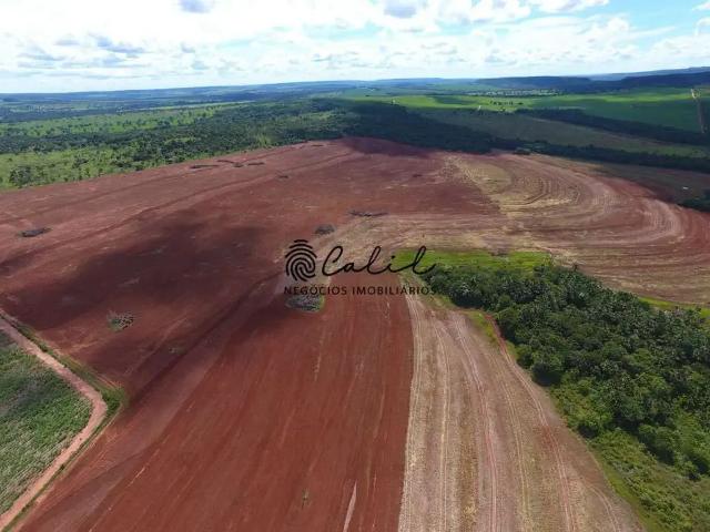 Fazenda venda em Região Geográfica Imediata do Distrito Federal, Região Integrada de Desenvolvimento do Distrito Federal e Entorno