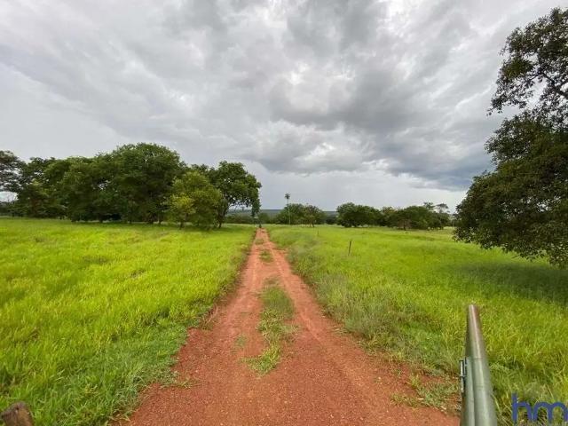 Fazenda venda em Região Geográfica Imediata de Iturama, União de Minas