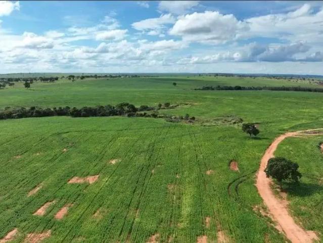 Fazenda venda em Região Geográfica Imediata de Uberlândia, Prata