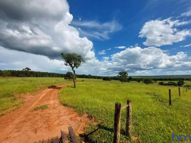 Fazenda venda em Região Geográfica Imediata de Uberlândia, Prata