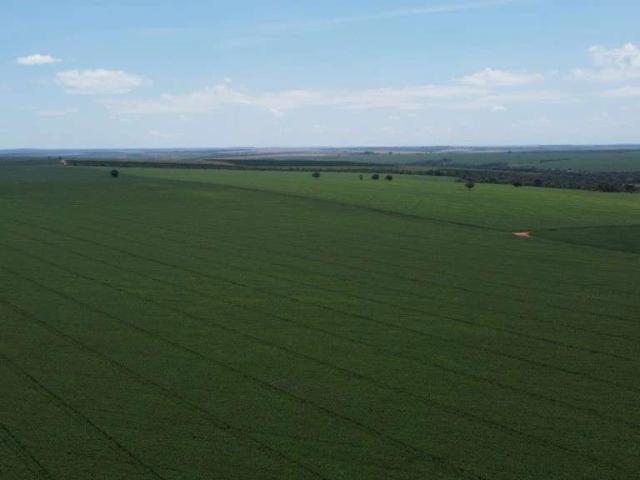Fazenda venda em Região Geográfica Imediata de Uberlândia, Prata