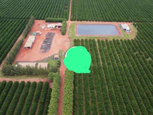 Fazenda venda em Região Geográfica Imediata de Uberlândia, Prata