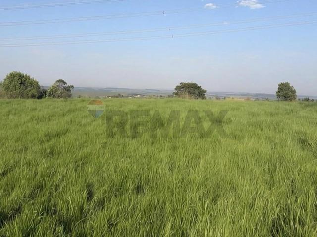 Fazenda venda em Pratânia
