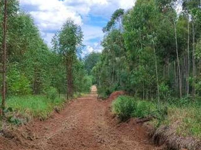 Fazenda venda em Região Imediata de Botucatu, Pratânia