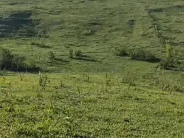 Fazenda venda em Região Imediata de Bauru, Presidente Alves
