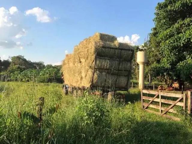 Fazenda venda em Região Imediata de Presidente Prudente, Mirante do Paranapanema