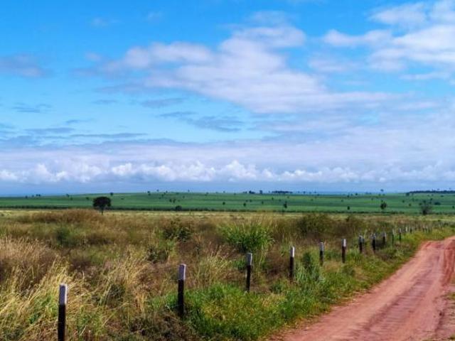 Sítio e chácara venda em Região Imediata de Presidente Epitácio-Presidente Venceslau, Presidente Epitácio