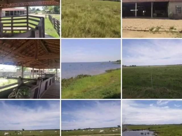 Fazenda venda em Região Imediata de Presidente Epitácio-Presidente Venceslau, Presidente Epitácio