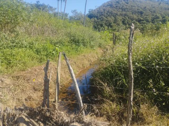 Fazenda venda em Região Geográfica Imediata de Cachoeiro de Itapemirim, Presidente Kennedy