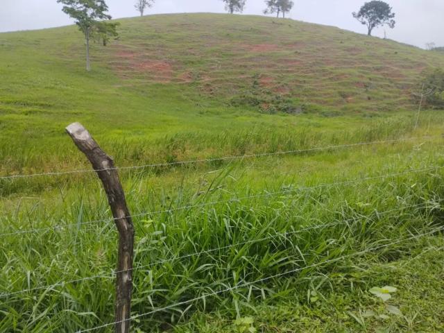 Fazenda venda em Região Geográfica Imediata de Cachoeiro de Itapemirim, Presidente Kennedy