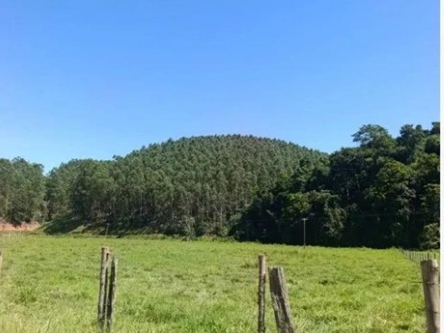 Fazenda venda em Centro, Presidente Kennedy