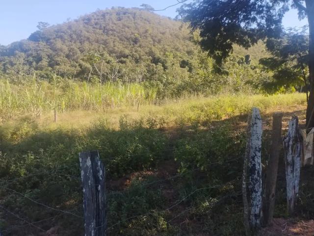 Fazenda venda em Região Geográfica Imediata de Cachoeiro de Itapemirim, Presidente Kennedy