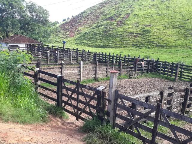 Fazenda venda em Região Geográfica Imediata de Cachoeiro de Itapemirim, Presidente Kennedy