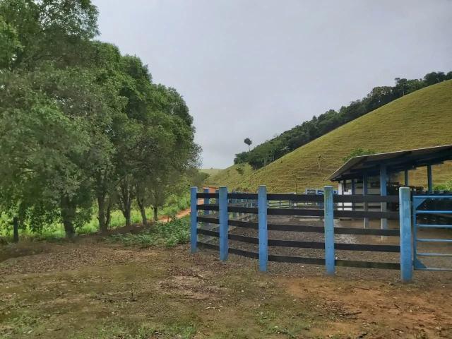 Fazenda venda em Região Geográfica Imediata de Cachoeiro de Itapemirim, Presidente Kennedy