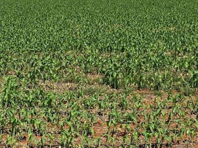 Sítio e chácara venda em Região Geográfica Imediata de Patos de Minas, Presidente Olegário