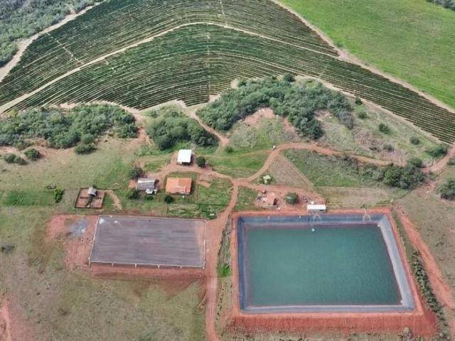 Sítio e chácara venda em Região Geográfica Imediata de Patos de Minas, Presidente Olegário