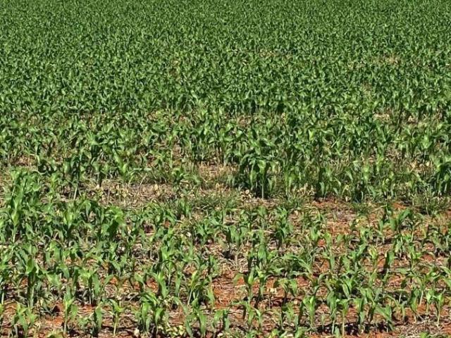 Fazenda venda em Presidente Olegário